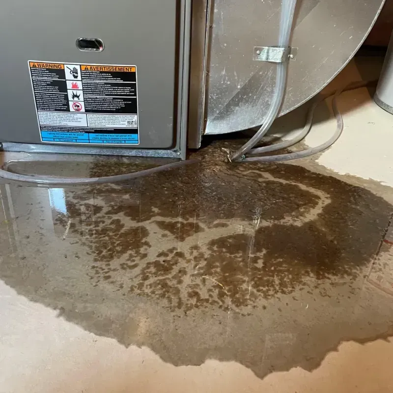 Appliance Leak Cleanup in Aberdeen, NC